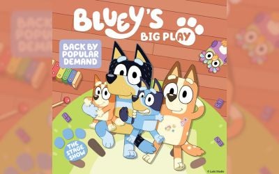 More Info for Bluey's Big Play