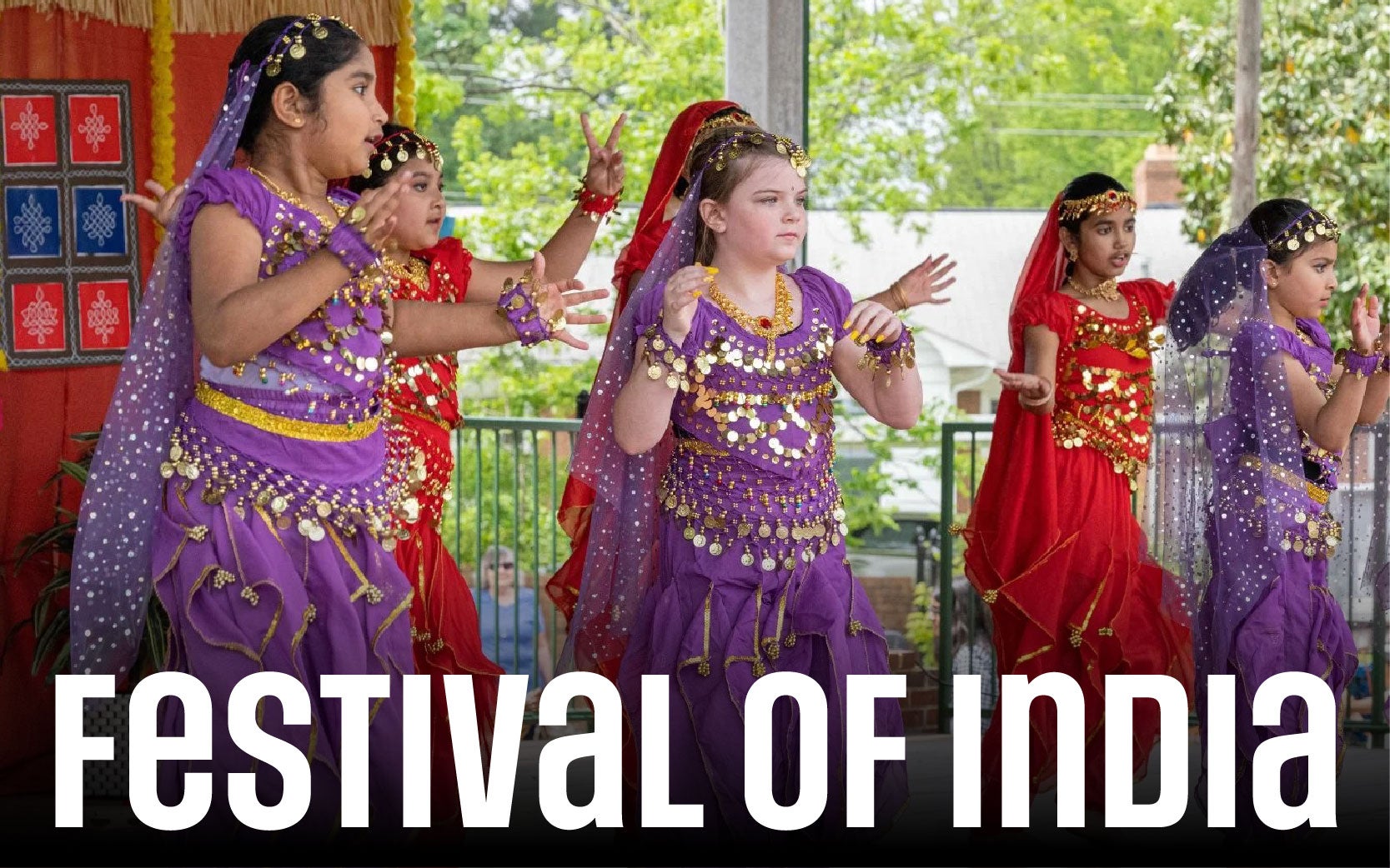 More Info for Festival of India