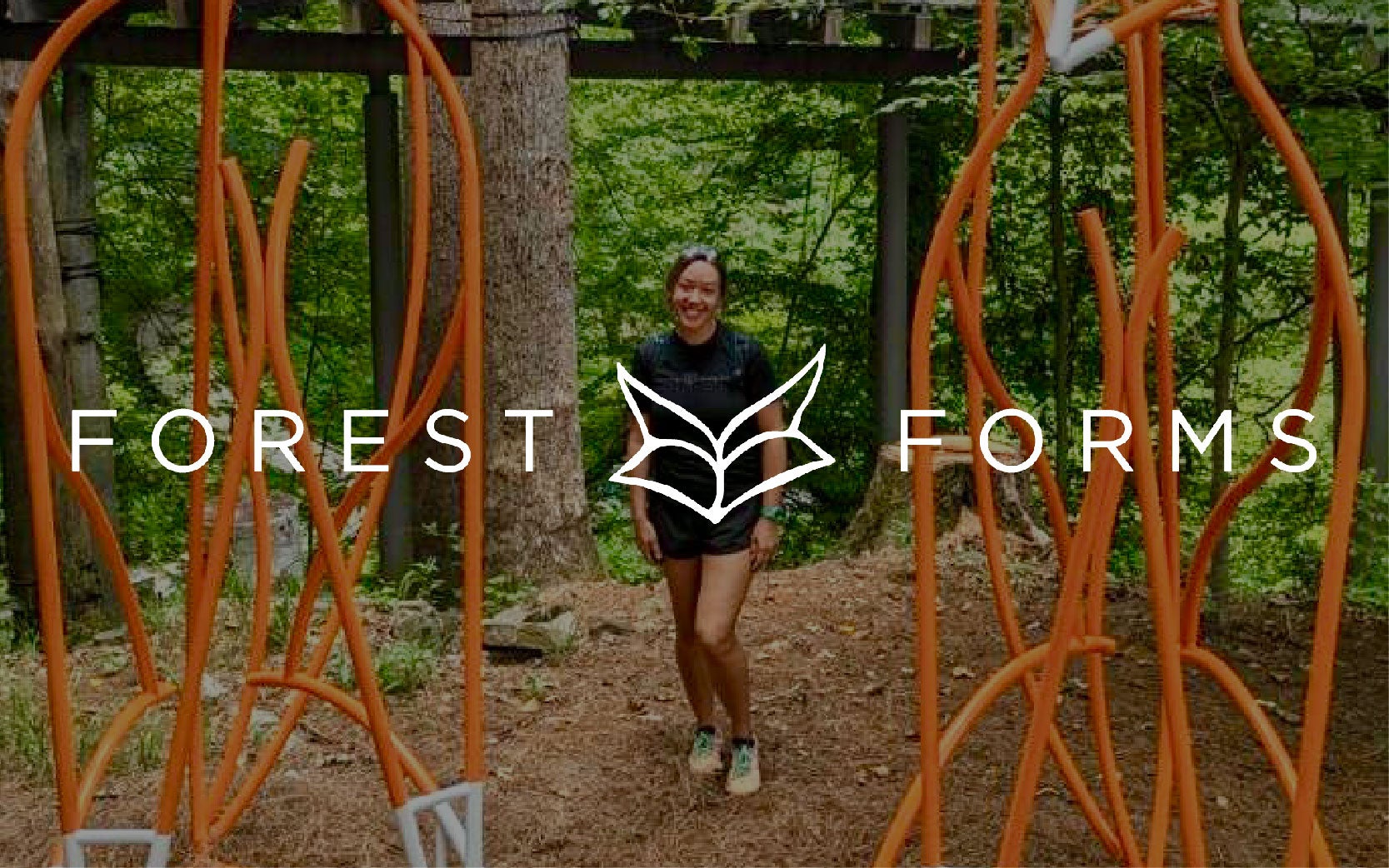 More Info for Forest Forms at Anne Spring Close Greenway 